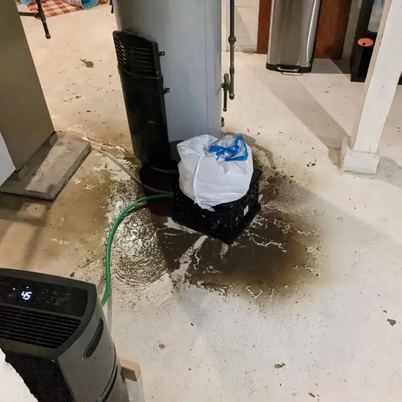 Sewage Backup Cleanup Service in Tompkinsville, KY